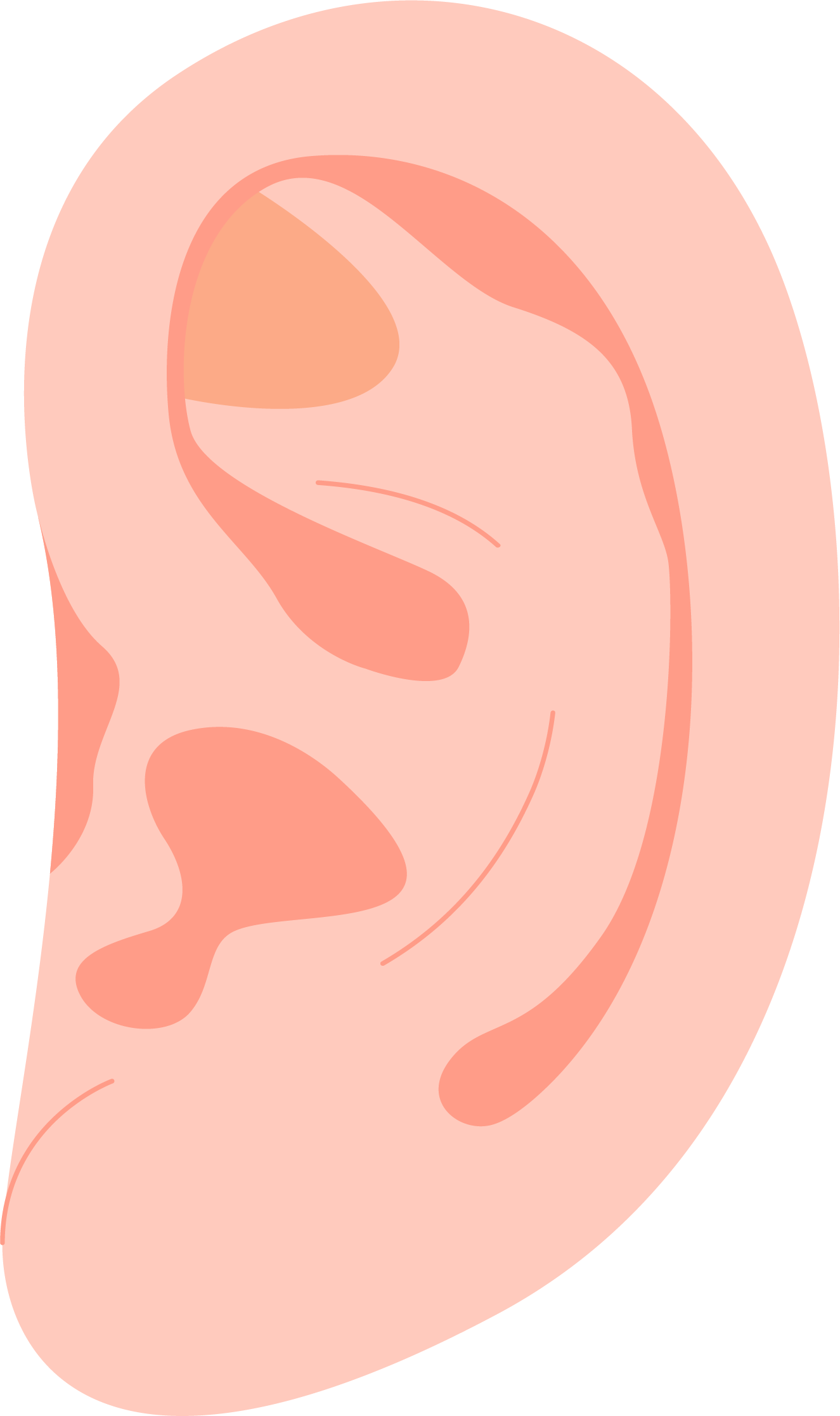 Troubles ORL - oreille - sinus - Ostéopathe Le Plessis-Trévise - Marie-Alizée Lilly